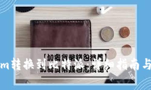 如何将Tokenim转换到比特派：详细指南与常见问题解答