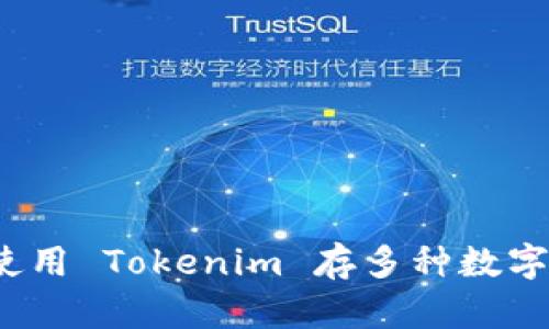 如何使用 Tokenim 存多种数字货币？