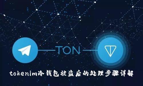 tokenim冷钱包被盗后的处理步骤详解