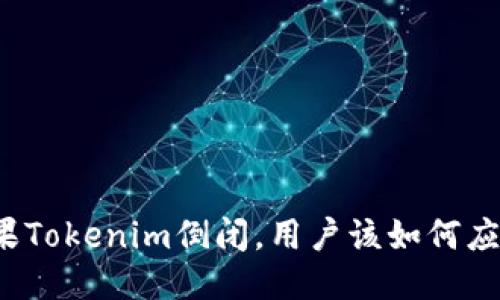 如果Tokenim倒闭，用户该如何应对？