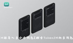 : TokenIM能导入多少个钱包？探索TokenIM的多钱包管