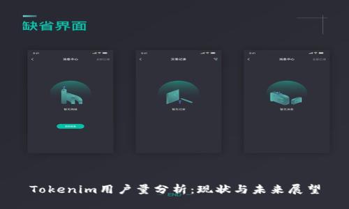 Tokenim用户量分析：现状与未来展望