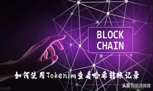 如何使用Tokenim查看哈希转账记录