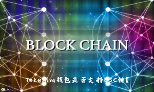 Tokenim钱包是否支持BSC链？