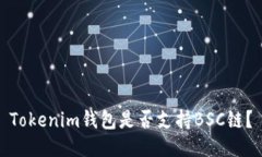 Tokenim钱包是否支持BSC链？