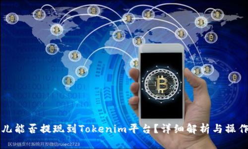 比特儿能否提现到Tokenim平台？详细解析与操作指南