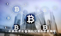 : 区块链平台的领先公司与技术解析
