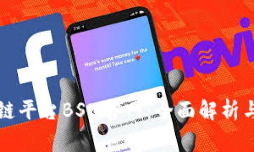 国家区块链平台BSN官网：全面解析与应用前景