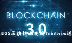 如何在EOS区块链上使用Tokenim进行投票