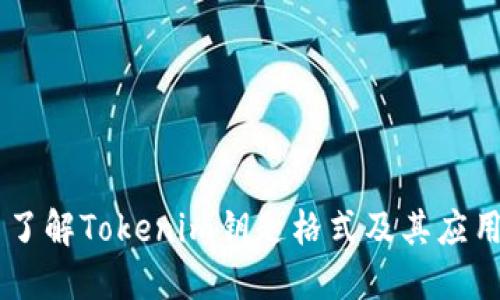 了解Tokenim钥匙格式及其应用