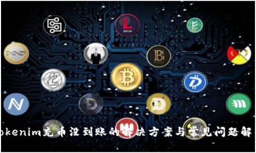 tokenim充币没到账的解决方案与常见问题解析