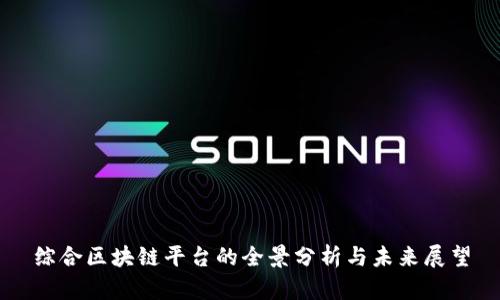 综合区块链平台的全景分析与未来展望