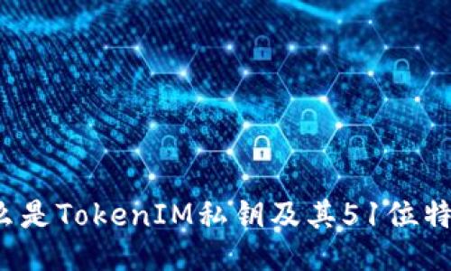 什么是TokenIM私钥及其51位特点？