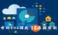 : Tokenim中的EOS消失了？原因分析与解决方案