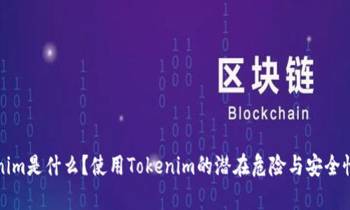 Tokenim是什么？使用Tokenim的潜在危险与安全性分析