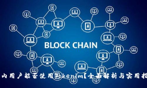 国内用户能否使用Tokenim？全面解析与实用指南