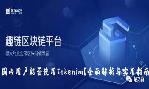 国内用户能否使用Tokenim？全面解析与实用指南