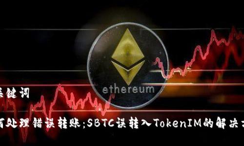 和关键词

如何处理错误转账：SBTC误转入TokenIM的解决方法