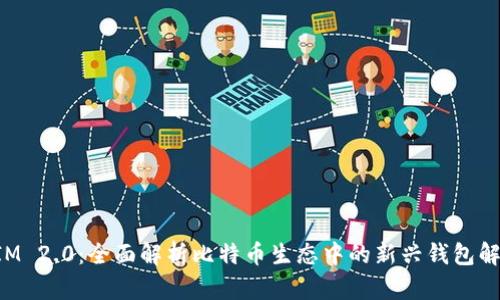 TokenIM 2.0：全面解析比特币生态中的新兴钱包解决方案