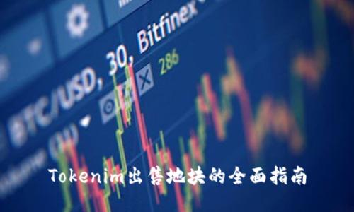 Tokenim出售地块的全面指南