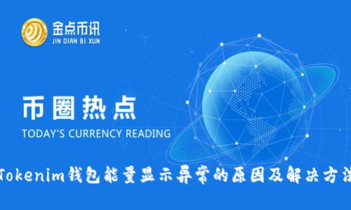 Tokenim钱包能量显示异常的原因及解决方法