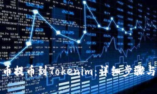 如何将屎币提币到Tokenim：详细步骤与注意事项