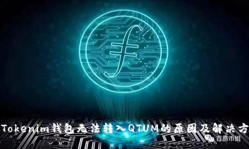 : Tokenim钱包无法转入QTUM的原因及解决方法