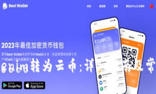  如何将Tokenim转为云币：详细指南及常见问题解答