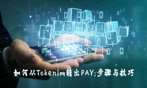如何从Tokenim转出PAY：步骤与技巧