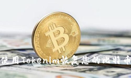如何使用Tokenim恢复您的比特币钱包