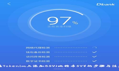 如何在Tokenim上添加BSV（比特币SV）的步骤与注意事项