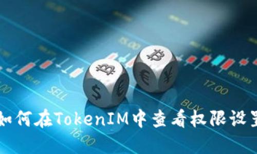 如何在TokenIM中查看权限设置