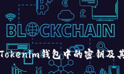 如何提取Tokenim钱包中的密钥及其区别分析