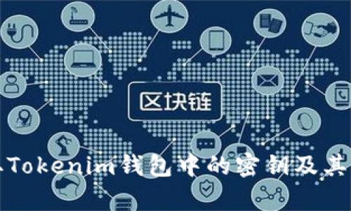 如何提取Tokenim钱包中的密钥及其区别分析