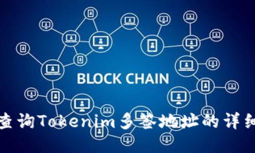 如何查询Tokenim多签地址的详细信息