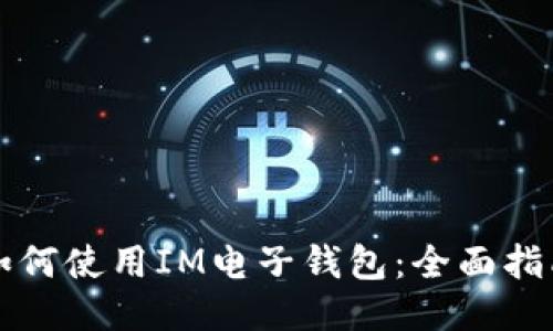 如何使用IM电子钱包：全面指南