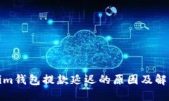 Tokenim钱包提款延迟的原因及解决方案