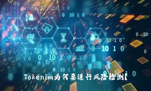 Tokenim为何要进行风险检测？