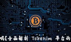 Tokenim安全吗？全面解析 Tokenim 平台的安全性与风