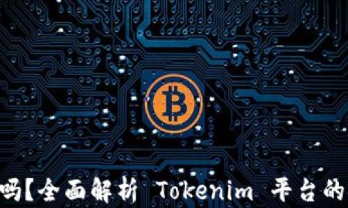
Tokenim安全吗？全面解析 Tokenim 平台的安全性与风险