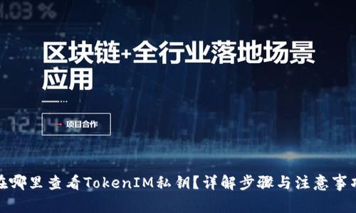 在哪里查看TokenIM私钥？详解步骤与注意事项