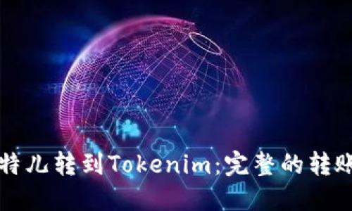 从比特儿转到Tokenim：完整的转账指南
