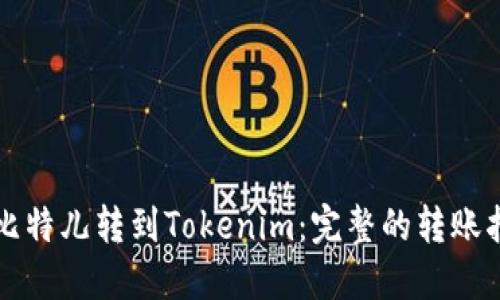 从比特儿转到Tokenim：完整的转账指南