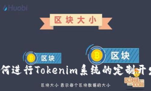如何进行Tokenim系统的定制开发？