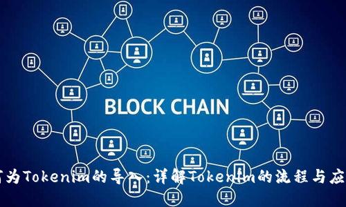 何为Tokenim的导入：详解Tokenim的流程与应用