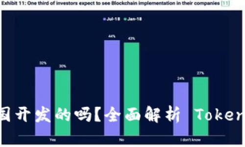 Tokenim 是中国开发的吗？全面解析 Tokenim 背景及发展