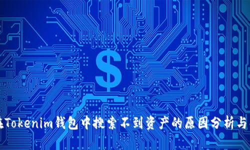 为什么在Tokenim钱包中搜索不到资产的原因分析与解决方案