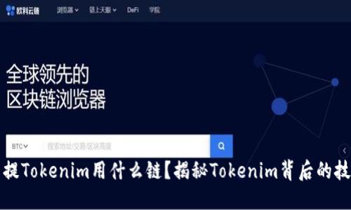 比特币提Tokenim用什么链？揭秘Tokenim背后的技术支持