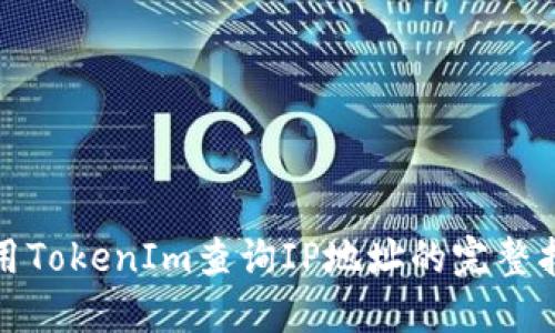 使用TokenIm查询IP地址的完整指南