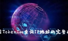 使用TokenIm查询IP地址的完整指南